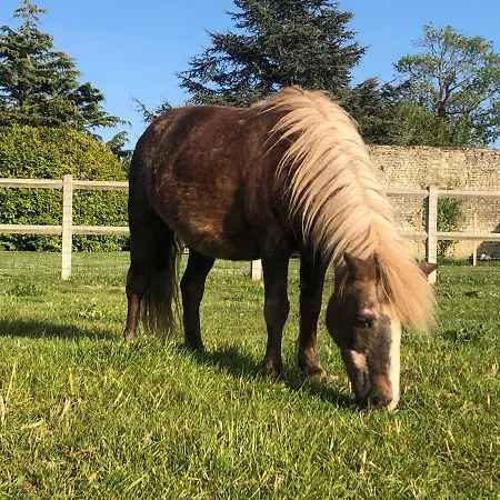 Les De La Mare * Saint-Manvieu-Norrey