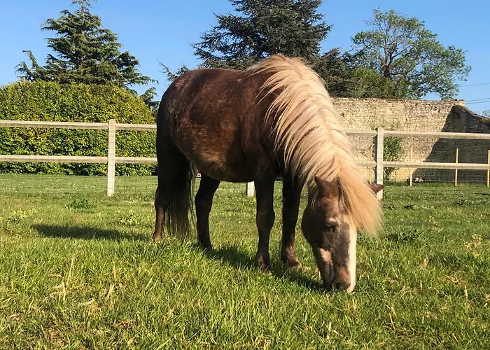 Les De La Mare * Saint-Manvieu-Norrey